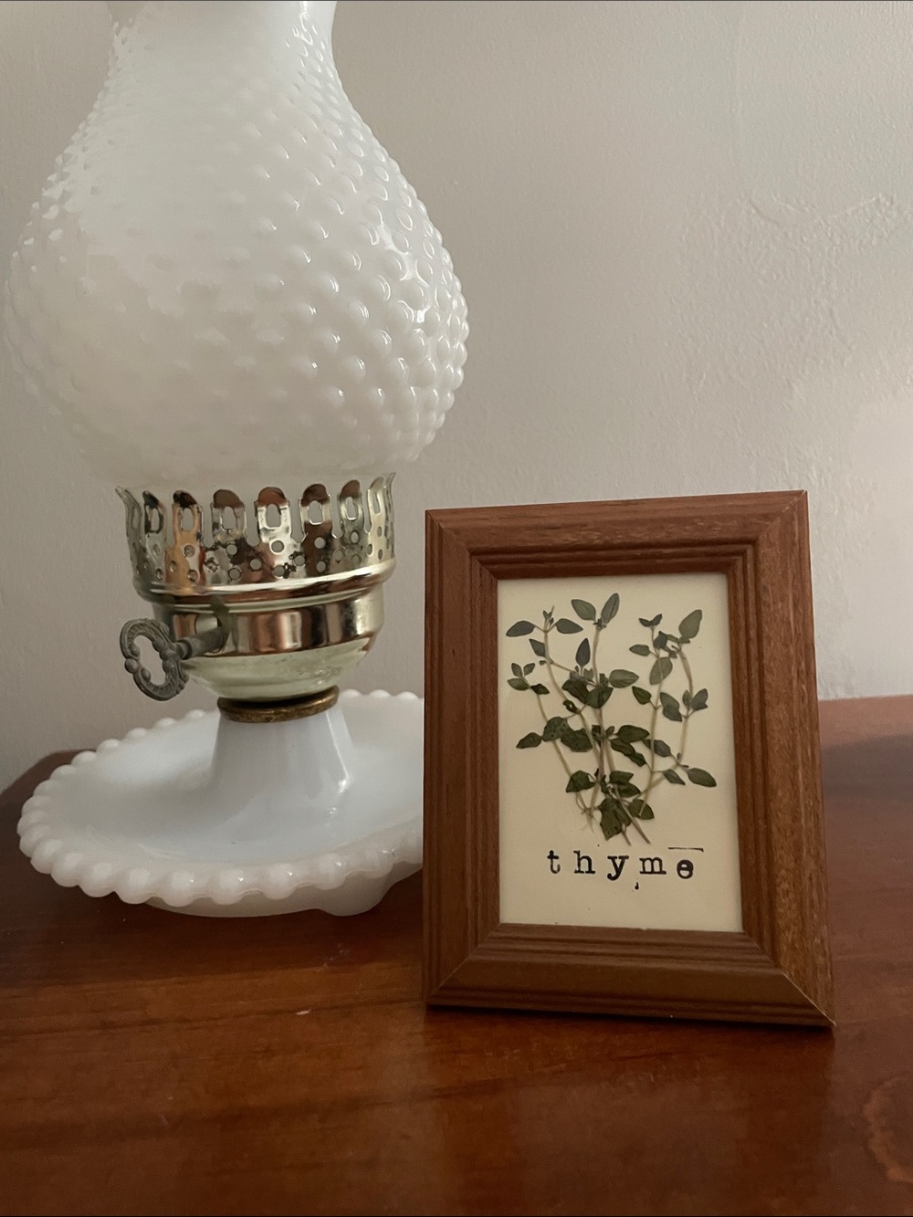 Dried Thyme Herb Mini Frame